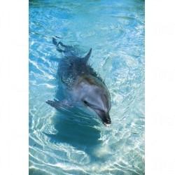 相片來源:昆士蘭旅遊局 黃金海岸